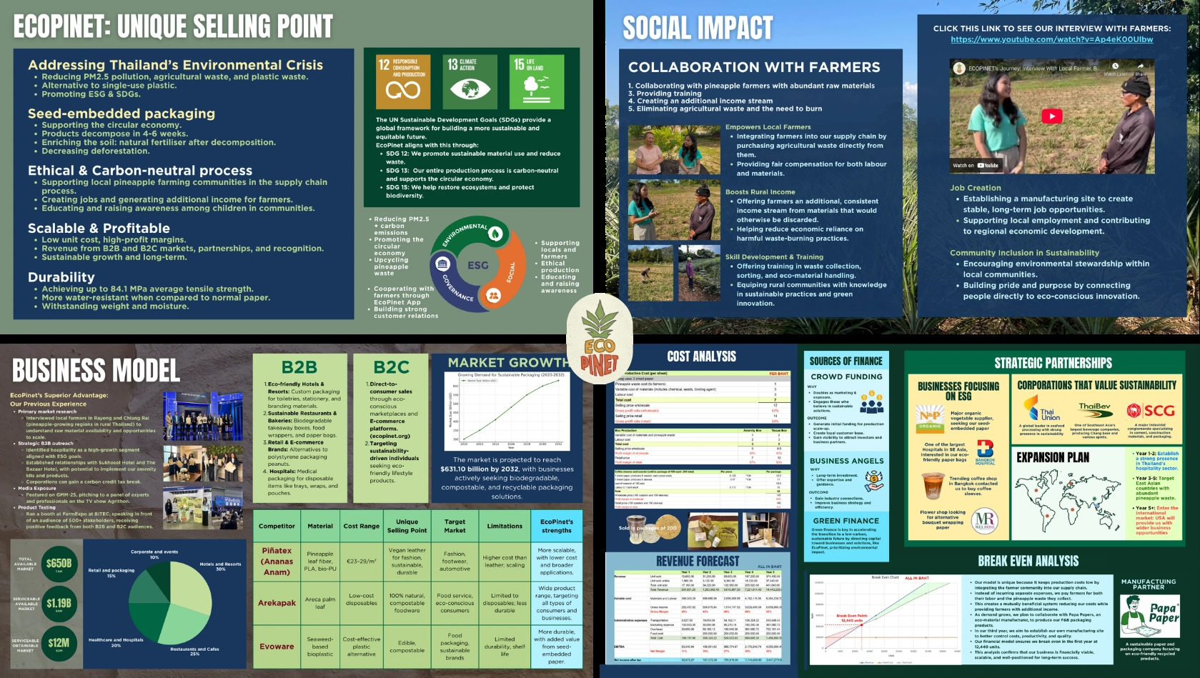 EcoPinet business plan detailing the value proposition, social impact, business model, cost analysis, financing, and projected growth