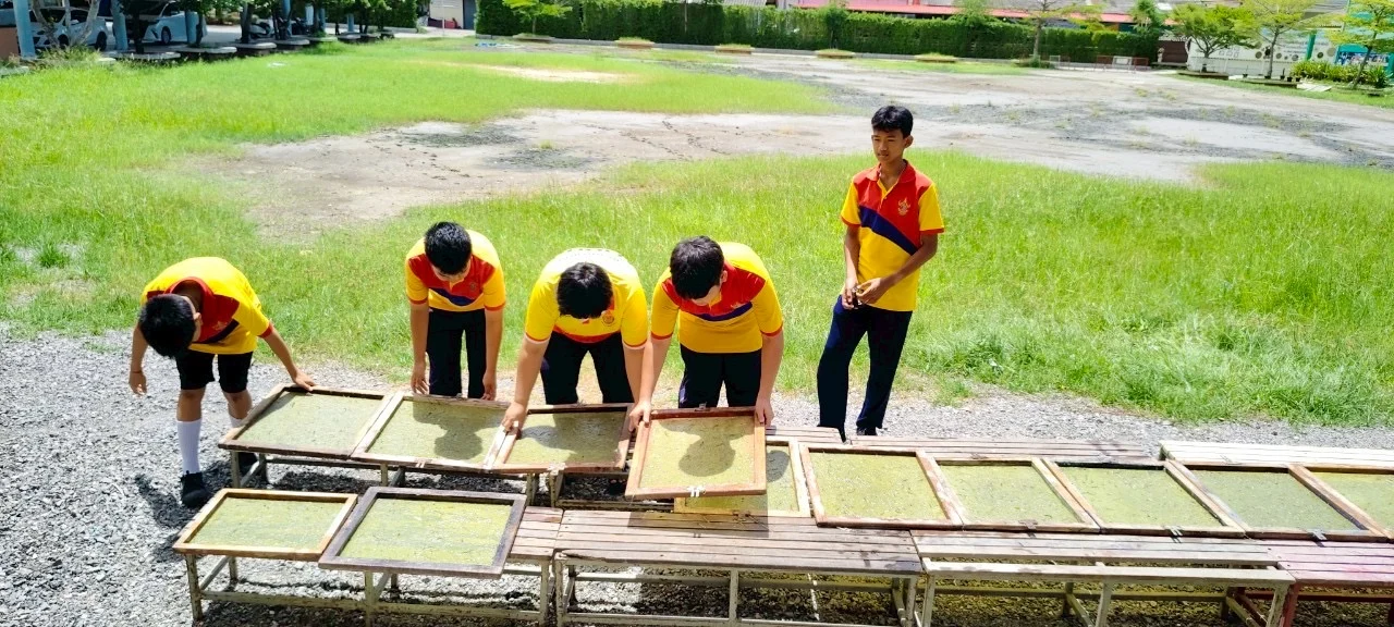 Hands-on work outdoors