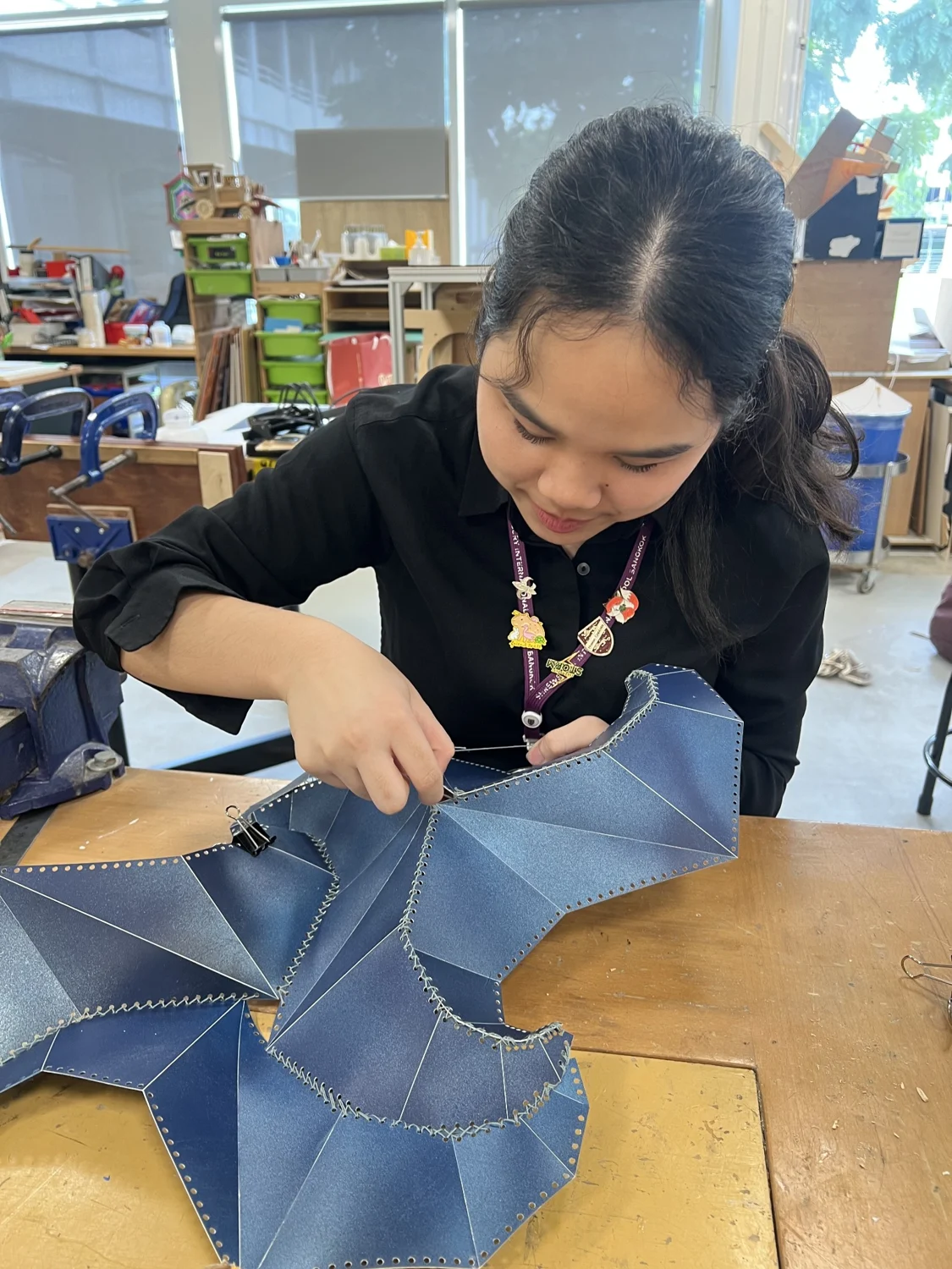 Assembling the canopy model